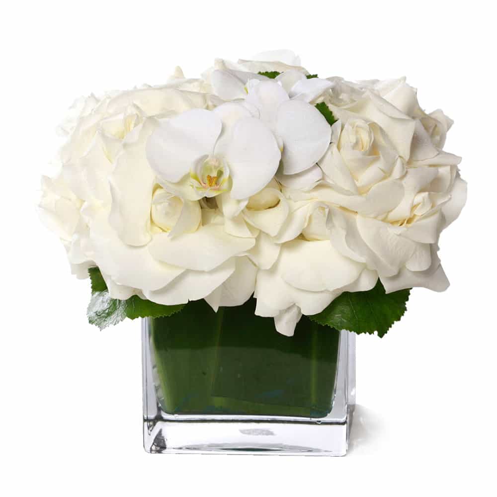 Classic White Roses – FLORAL ART