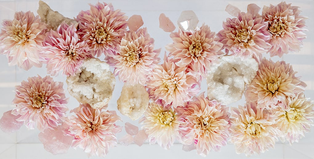 https://www.floralartla.com/wp-content/uploads/2017/09/SHOP-HOME-DIVIDE-BANNER-1.jpg
https://www.floralartla.com/wp-content/uploads/2017/09/SHOP-HOME-DIVIDE-BANNER-1.jpg