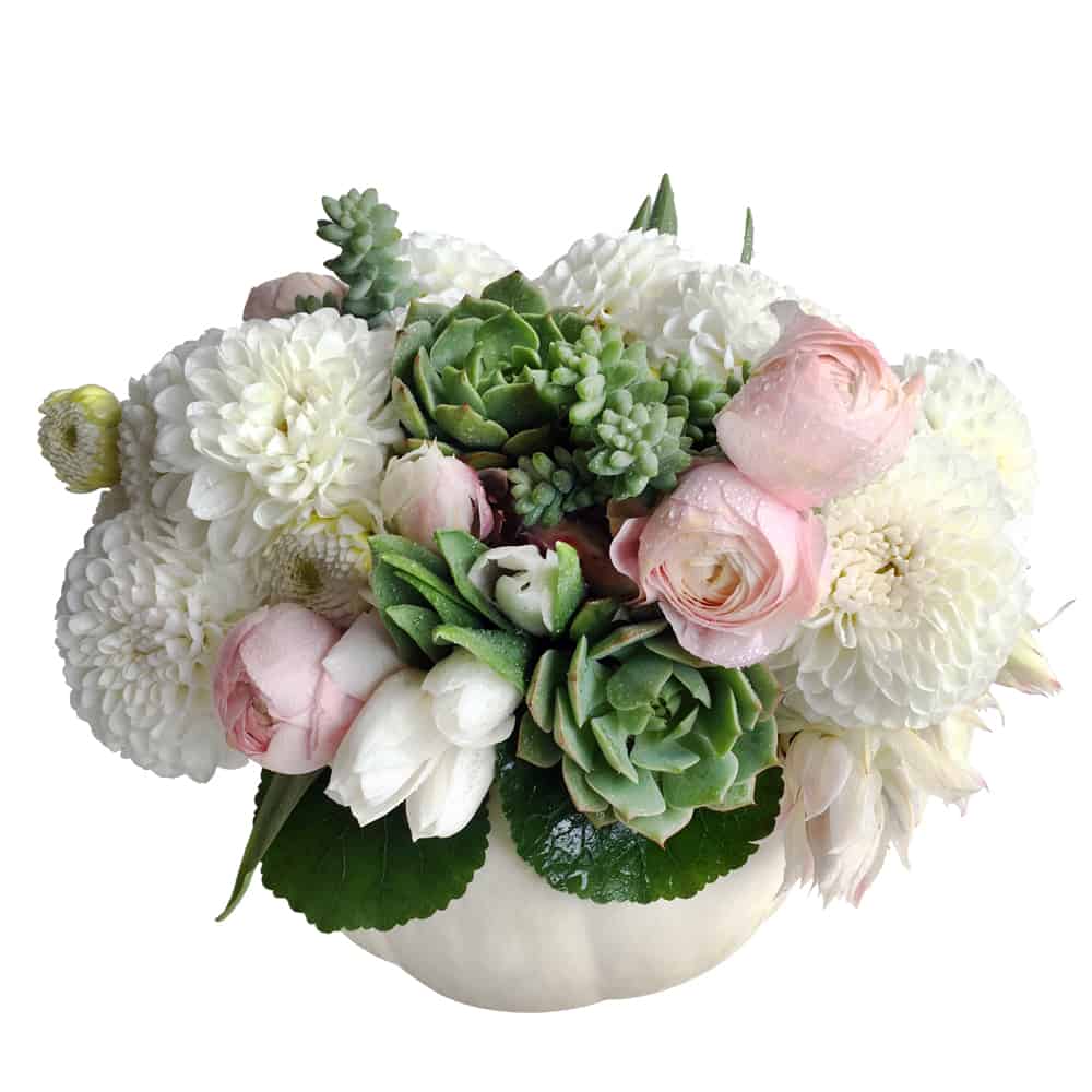 Great White Pumpkin FLORAL ART