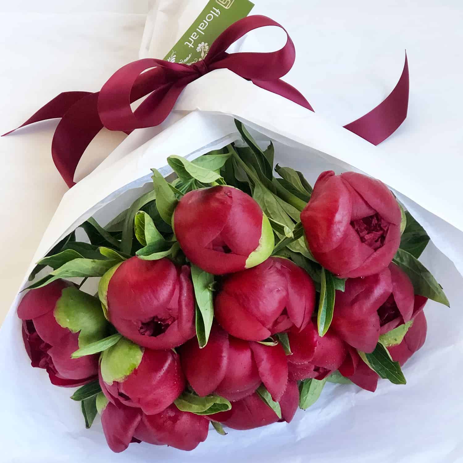 1 dozen Wrapped Red Charm Peonies